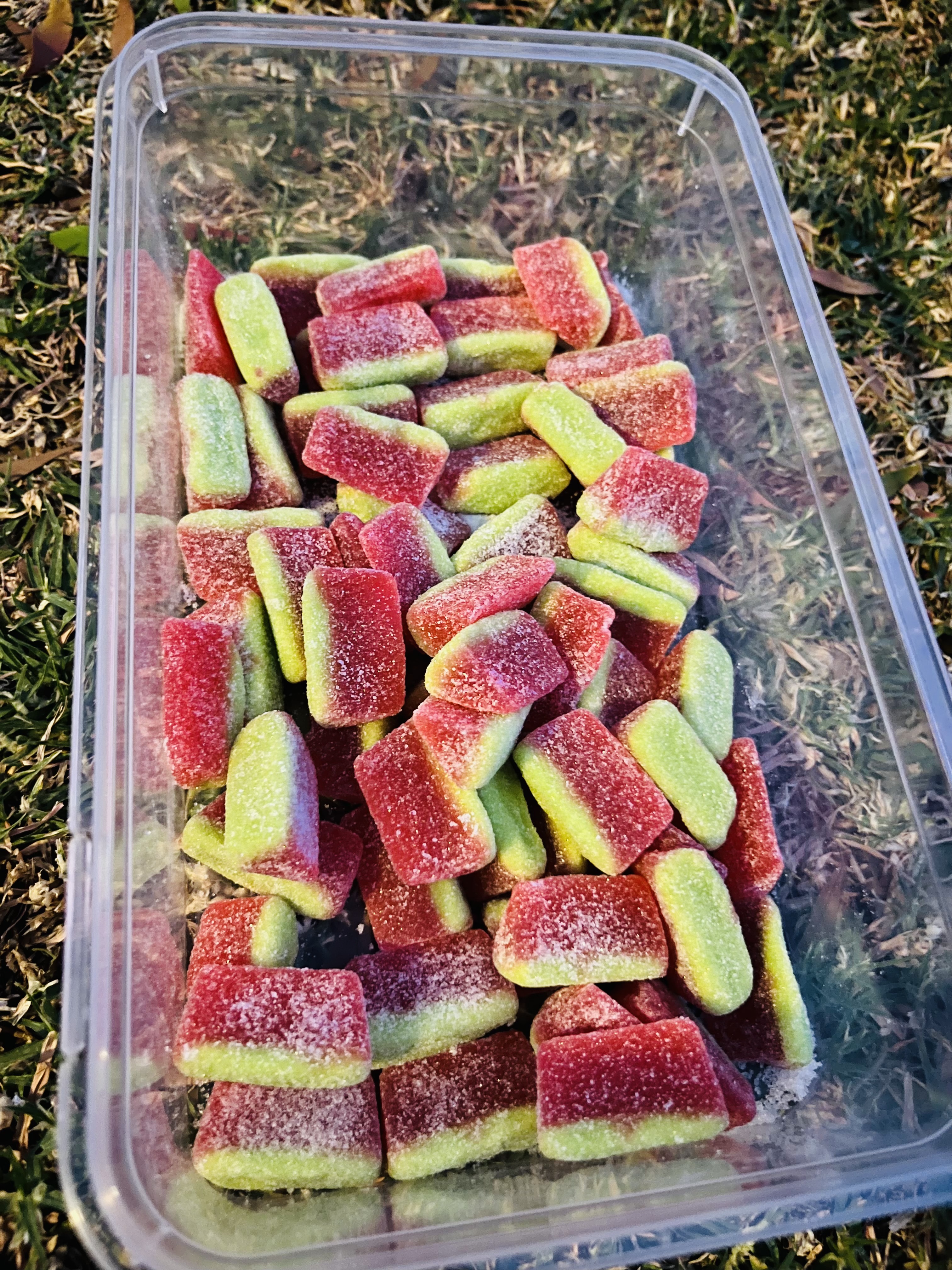 Watermelon